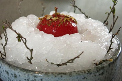 Noma Copenhagen